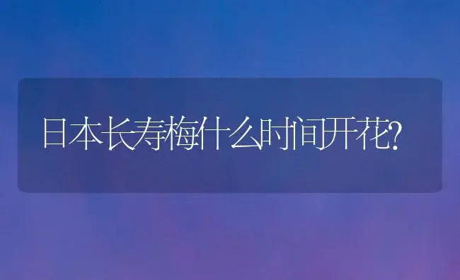 日本长寿梅什么时间开花？ | 多肉养殖