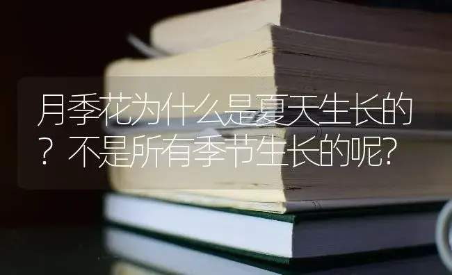 月季花为什么是夏天生长的？不是所有季节生长的呢？ | 绿植常识