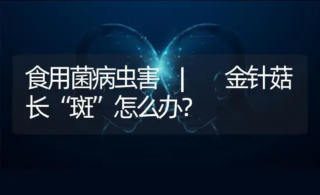 金针菇长“斑”怎么办？ | 菌菇种植