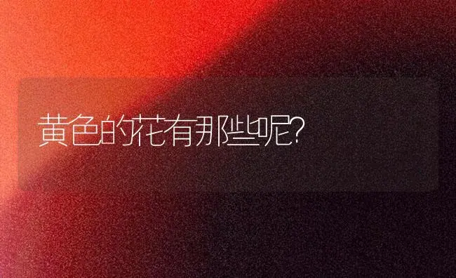 黄色的花有那些呢？ | 多肉养殖