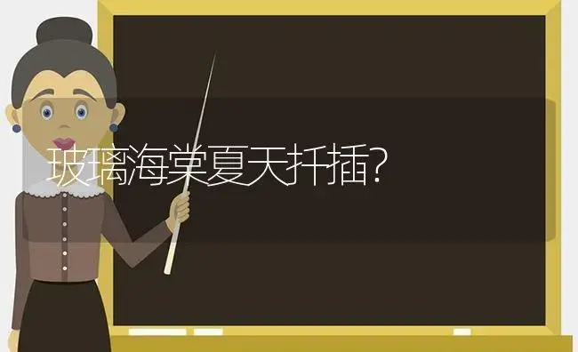 玻璃海棠夏天扦插？ | 绿植常识