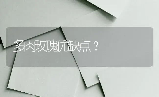 多肉玫瑰优缺点？ | 绿植常识