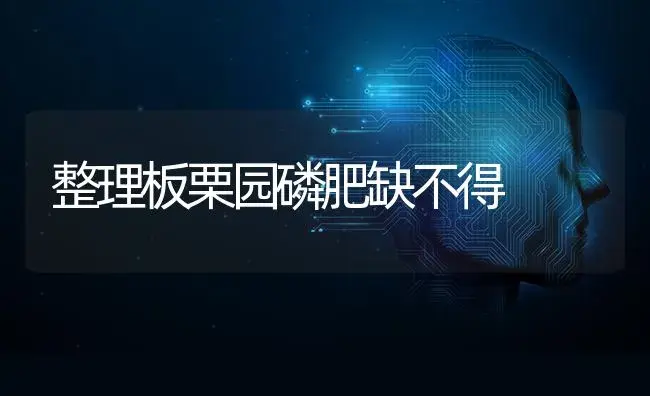 整理板栗园磷肥缺不得 | 果木种植