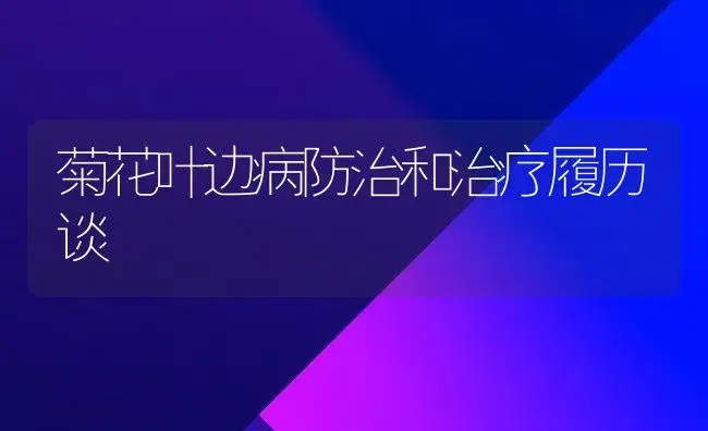 菊花叶边病防治和治疗履历谈 | 家庭养花