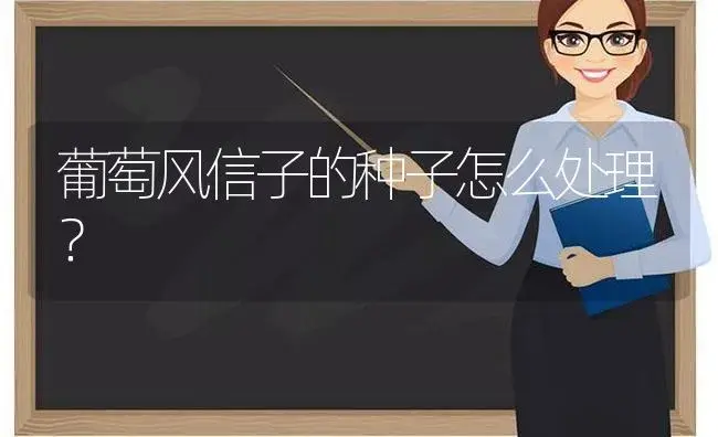 葡萄风信子的种子怎么处理？ | 绿植常识