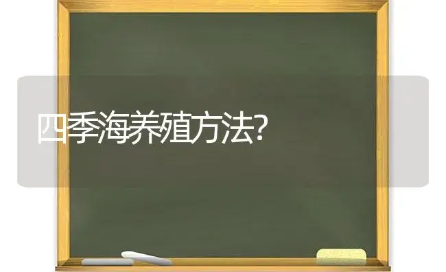 四季海养殖方法？ | 绿植常识