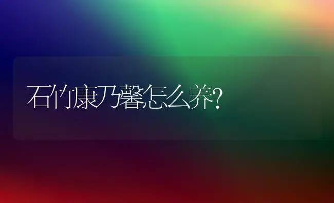 石竹康乃馨怎么养？ | 绿植常识