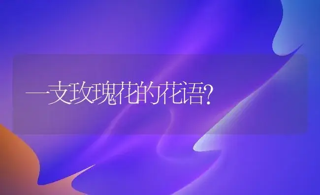 养栀子花牢记8个字想养好就不难了？ | 绿植常识