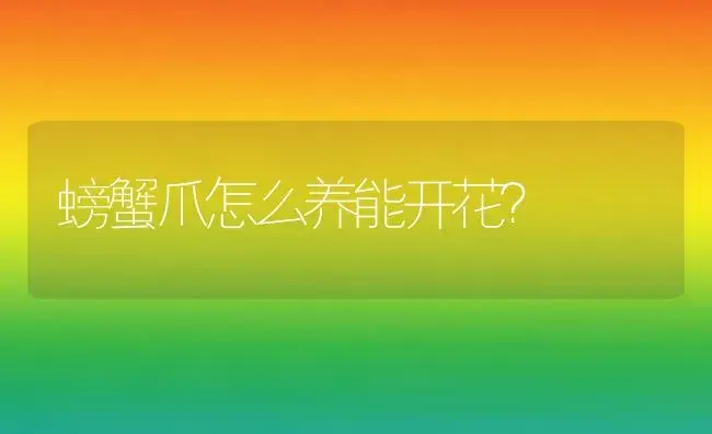 螃蟹爪怎么养能开花？ | 多肉养殖