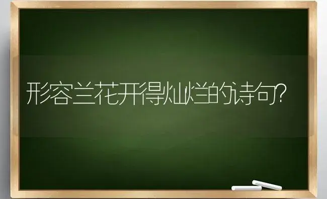 形容兰花开得灿烂的诗句？ | 绿植常识