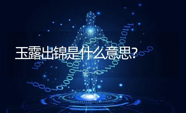 玉露出锦是什么意思？ | 多肉养殖