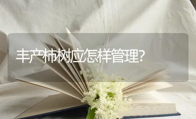 丰产柿树应怎样管理？ | 特种种植