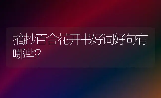 摘抄百合花开书好词好句有哪些？ | 绿植常识