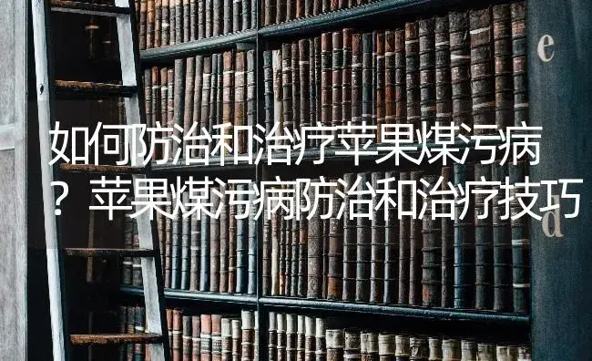 如何防治和治疗苹果煤污病？苹果煤污病防治和治疗技巧 | 果木种植