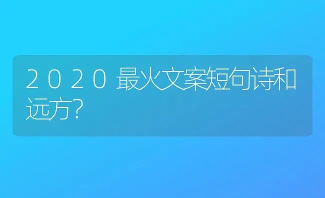 2020最火文案短句诗和远方？ | 绿植常识