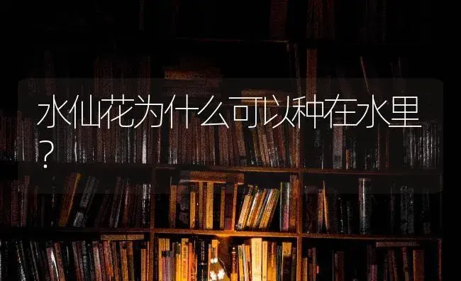 可以摆鲜百合花在床头柜吗？ | 绿植常识