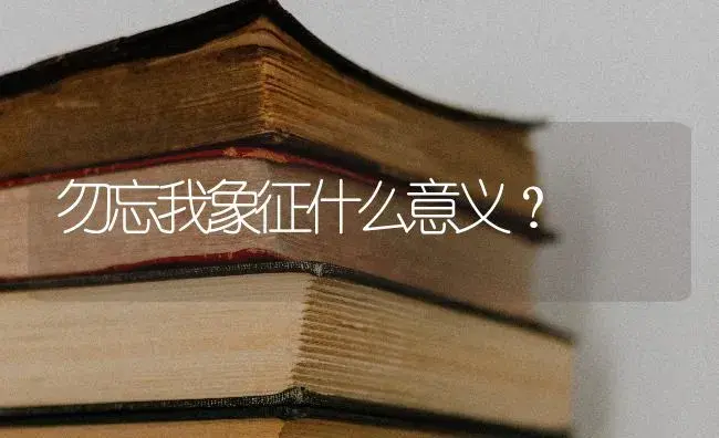 勿忘我象征什么意义？ | 绿植常识