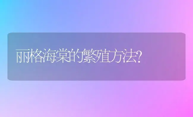 丽格海棠的繁殖方法？ | 绿植常识