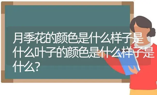 月季花的颜色是什么样子是什么叶子的颜色是什么样子是什么？ | 绿植常识