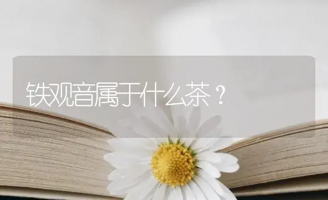 铁观音属于什么茶？ | 农作物种植