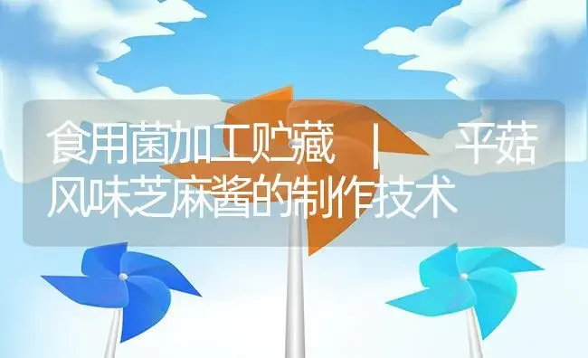 平菇风味芝麻酱的制作技术 | 菌菇种植