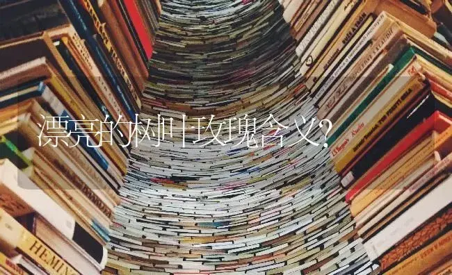 漂亮的树叶玫瑰含义？ | 绿植常识