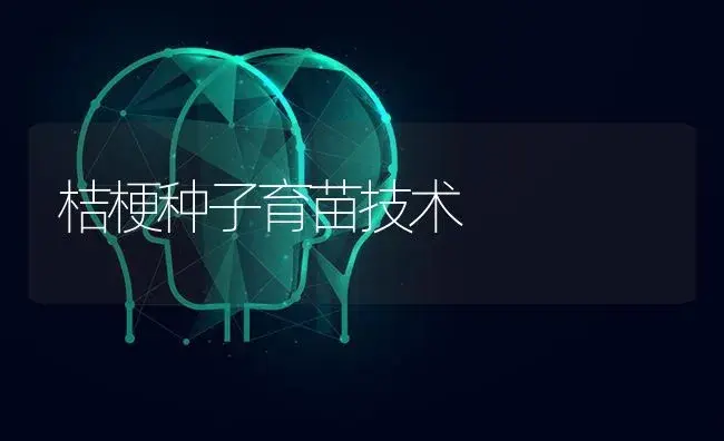 桔梗种子育苗技术 | 特种种植