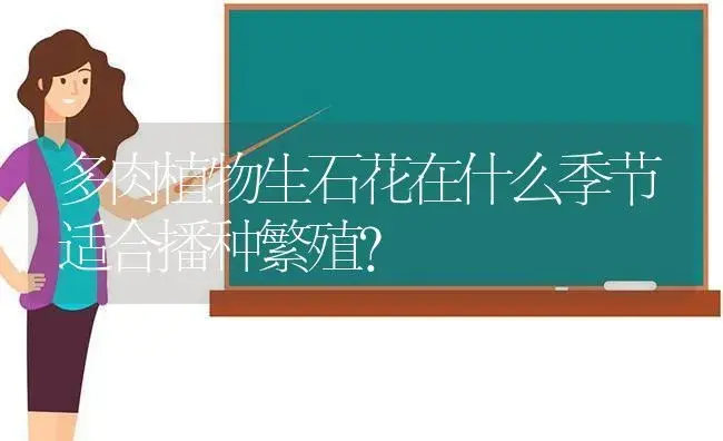 多肉植物生石花在什么季节适合播种繁殖？ | 多肉养殖