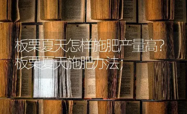 板栗夏天怎样施肥产量高？板栗夏天施肥办法； | 果木种植