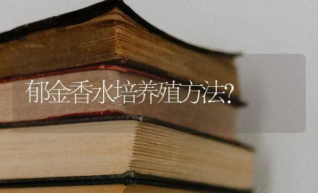 郁金香水培养殖方法？ | 绿植常识