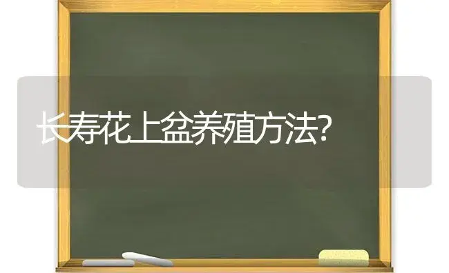 长寿花上盆养殖方法？ | 多肉养殖