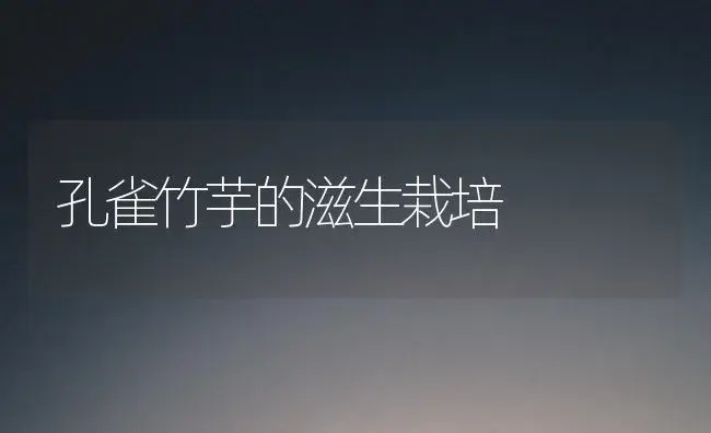 孔雀竹芋的滋生栽培 | 家庭养花