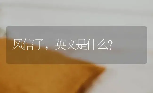 风信子，英文是什么？ | 绿植常识