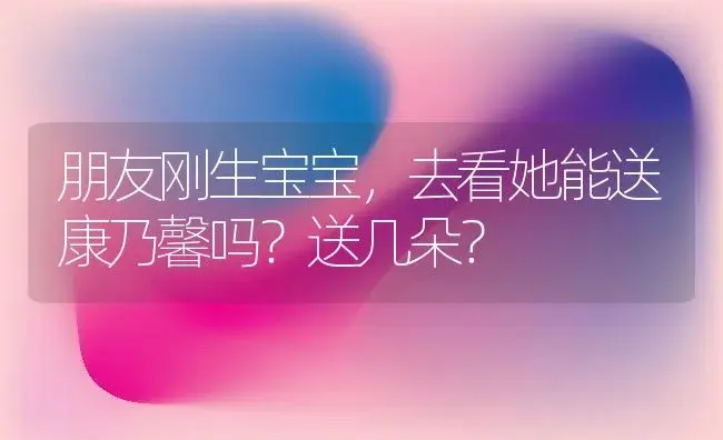 朋友刚生宝宝，去看她能送康乃馨吗？送几朵？ | 绿植常识