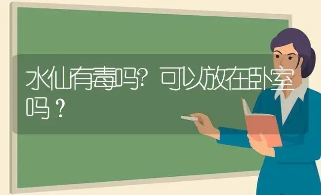 水仙有毒吗?可以放在卧室吗？ | 绿植常识