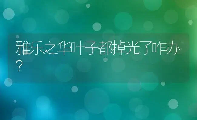 雅乐之华叶子都掉光了咋办？ | 多肉养殖