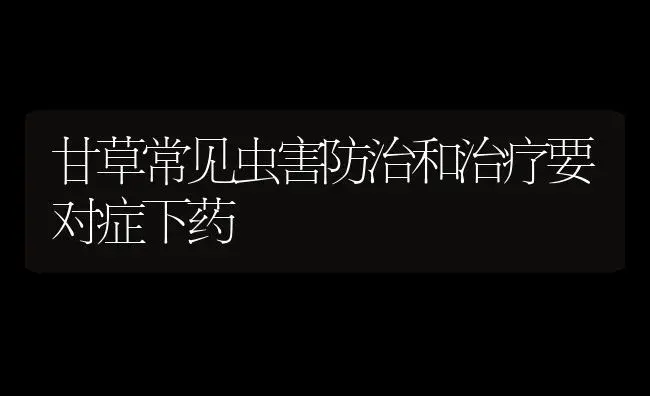 甘草常见虫害防治和治疗要对症下药 | 药材种植