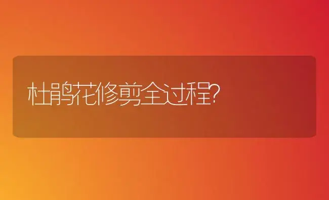 杜鹃花修剪全过程？ | 绿植常识