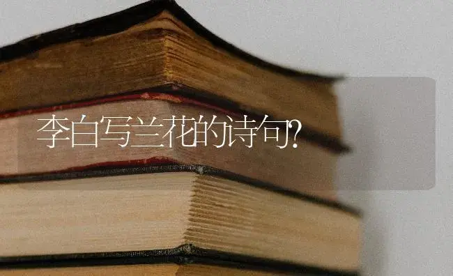 李白写兰花的诗句？ | 绿植常识