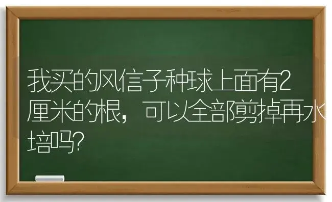 我买的风信子种球上面有2厘米的根，可以全部剪掉再水培吗？ | 绿植常识