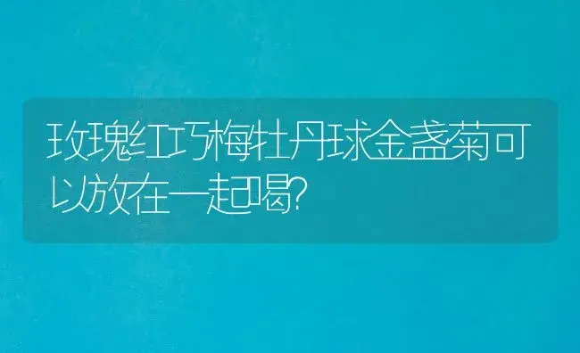 玫瑰红巧梅牡丹球金盏菊可以放在一起喝？ | 绿植常识