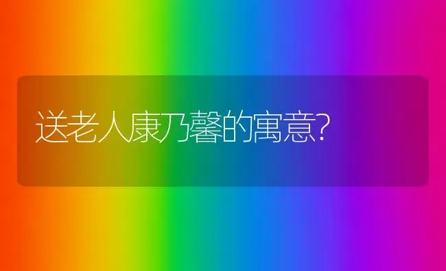 送老人康乃馨的寓意？ | 绿植常识