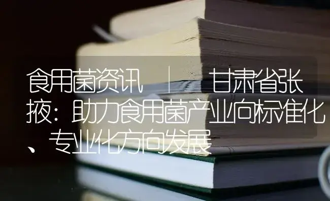 甘肃省张掖：助力食用菌产业向标准化、专业化方向发展 | 菌菇种植