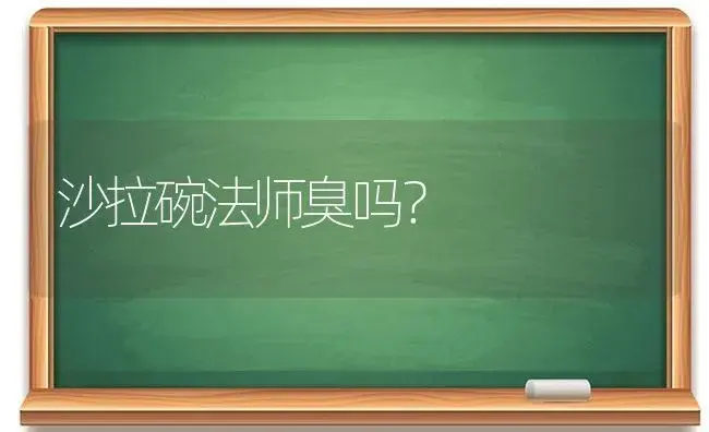 沙拉碗法师臭吗？ | 多肉养殖
