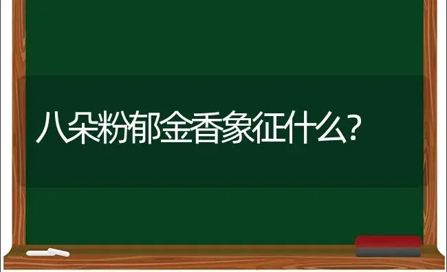 八朵粉郁金香象征什么？ | 绿植常识