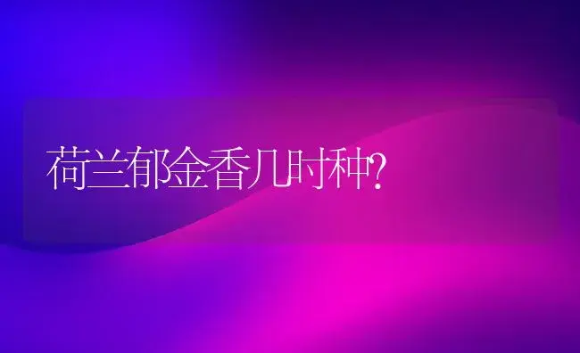 风车茉莉的养殖方法和注意事项？ | 绿植常识