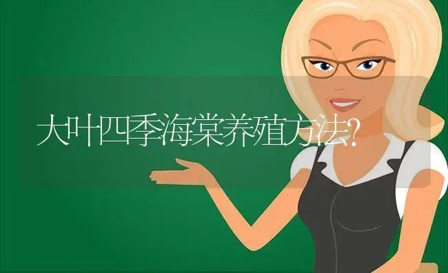 大叶四季海棠养殖方法？ | 绿植常识