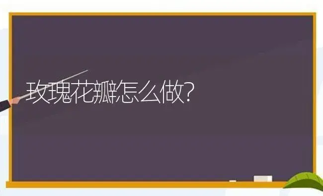 玫瑰花瓣怎么做？ | 绿植常识