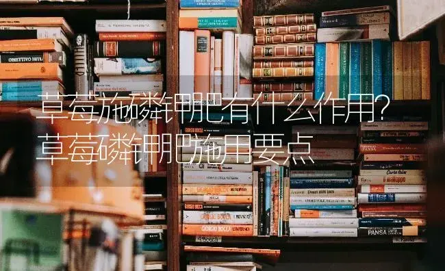 红提施肥的要点 | 果木种植