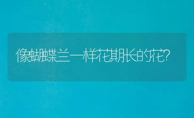 曼陀罗能嫁接西红柿吗？ | 绿植常识